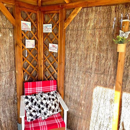 Le Papillon,Logement Cosy En Alsace Erstein Exterior photo